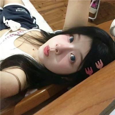 豹